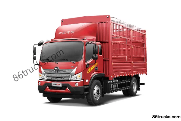 Foton Foton Shenglong ES5 Medium Truck Cargo Trucks