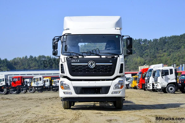 Dongfeng Commercial Vehicle Tianlong VL Heavy Truck 350 hp 8X4(12 wheels) Bulk Feed Transport Truck (flat roof) Exterior (2) | 86Trucks
