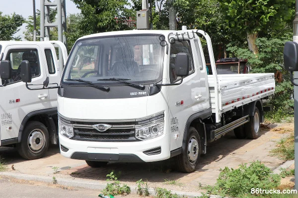 Foton Times Pilot S1 2.0L 144hp 4X2(6 wheels) Gasoline 3.94m Crew Cab Flatbed Mini Truck (China VI) Exterior (3) | 86Trucks