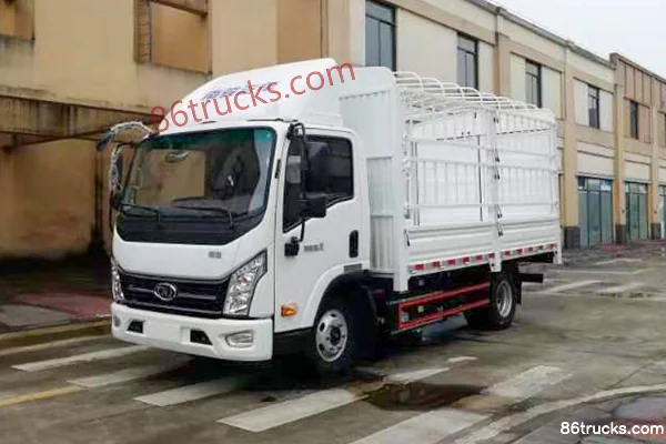 NanJun NanJun Ruijie D30 Light Truck electric cargo truck