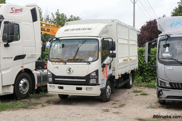 SHACMAN Commercial Vehicle Delong G1 137 ch 4X2(6 roues) 4,18 m camion simple cabine à ridelles (Fast Gear 6 vitesses) Extérieur (3) | 86Tru