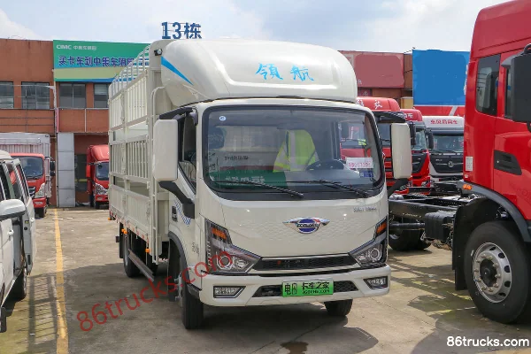 Foton Times Linghang G5 Hydraulic Brake 4.17m Single Row Pure Electric Cage Light Truck 100.46kWh 4X2(6 wheels) Exterior