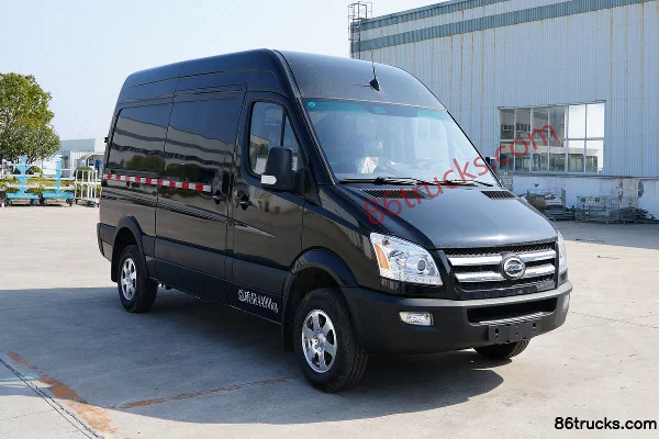 King Long King Long Skyworth D11 Electric Panel Van