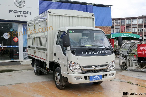 Foton Foton Xiaoyun S1 Light Truck Cargo Trucks