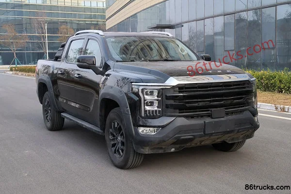 Foton Foton Mars pickup truck