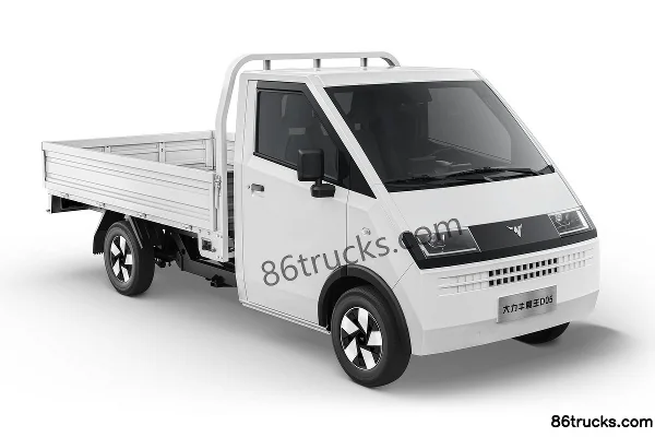 Dali Niumowang Dali NiumowangD05 electric cargo truck