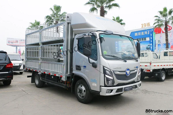 Foton Foton ZhiLan HL electric cargo truck