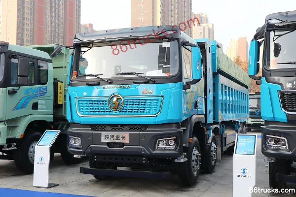 SHACMAN Longxiao Elite Edition 530hp 8X4(12 wheels) 7.6m CNG Dump Truck Exterior (3) | 86Trucks