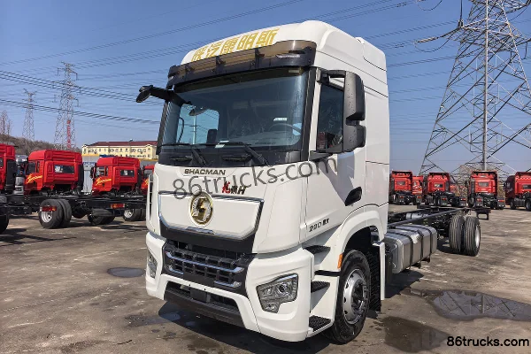 SHACMAN Longji H Elite Edition 6.2L Diesel 290 hp 4X2(6 wheels) WLY 10-Speed AMT Automatic 9.8m Wing Opening Van Cargo Truck Exterior (3)