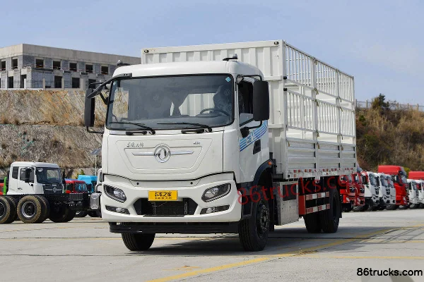 Dongfeng Commercial Vehicle Tianjin KR 4X2(6 wheels) 6.75m Electric Cage Cargo Truck Ruipu 265kWh Exterior (3) | 86Trucks