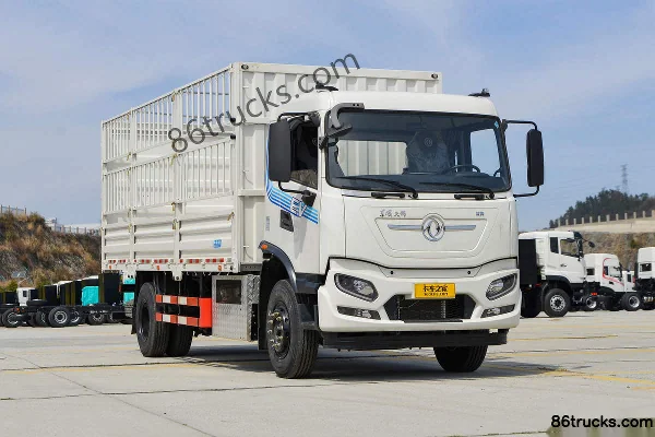 Dongfeng Commercial Vehicle Tianjin KR 4X2(6 wheels) 6.75m Electric Cage Cargo Truck Ruipu 265kWh Exterior