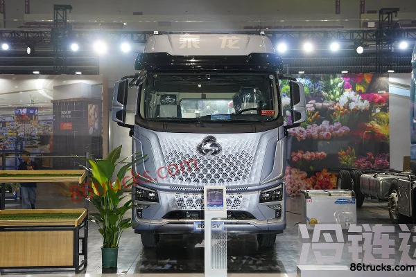 Dongfeng Liuqi Chenglong H5V 6.9L Diesel 338 hp 4X2(6 wheels) Fast Gear 9-Speed Cargo Truck Exterior (2) | 86Trucks
