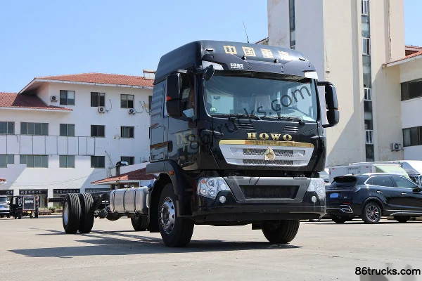 Sinotruk HOWO HOWO TX7 PRO Efficient Edition 6.9L Diesel 290 hp 4X2(6 wheels) Sinotruk 8-Speed 9.6m Van Cargo Truck Exte