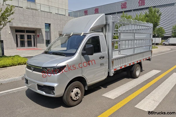 Leichi Leichi Ren T30 electric cargo truck