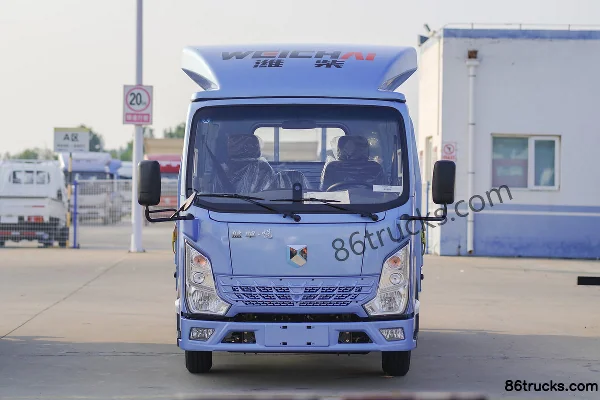 Lanqing Auto Lanqing Auto Lanqing X3 Light Truck electric cargo truck