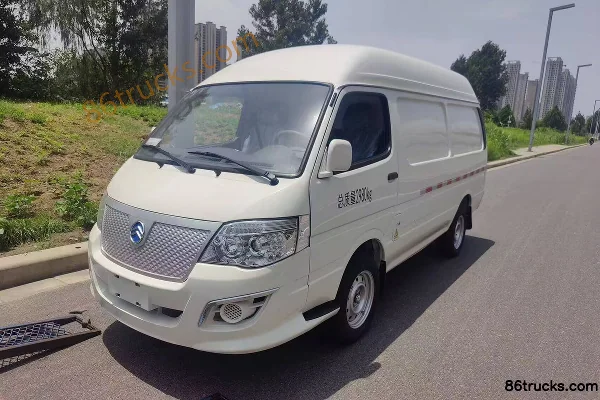 Golden Dragon Golden Dragon Longyun Electric Panel Van