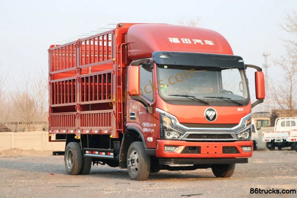 Foton TS5 2.5L Diesel 176hp 4X2(6 wheels) Fast Gear 10-Speed 4.17m Single Row Grating Light Truck Exterior