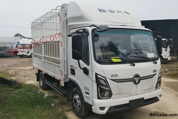 Foton Zhilan EL-Plus Air Brake 4.17m Single Row Pure Electric Cargo Cage Light Truck CATL 165kWh 4X2(6 wheels) Exterior