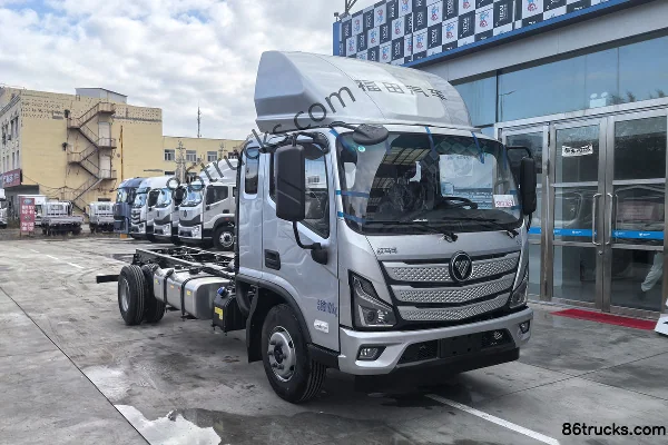 Foton Foton S3 Light Truck Cargo Trucks