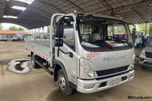 Foton 6 2.5L Diesel 160hp 4X2(6 wheels) WLY 8-Speed 4.17m Single Row Flatbed Light Truck Exterior