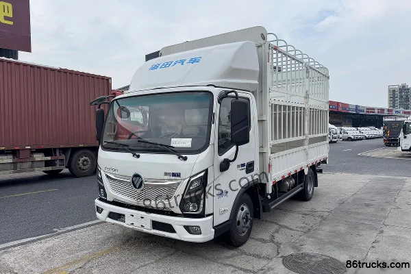 Foton ZhiLan EL-Plus châssis large 4,17 m cabine simple camion léger à ridelles 100% électrique CATL 100,46 kWh 4X2(6 roues) Extérieur (3)