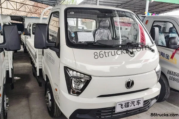 Feidi Ditu DX Mini Truck Cargo Trucks