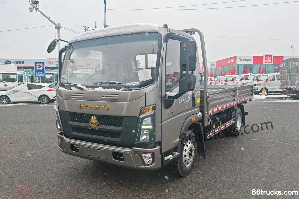 Sinotruk HOWO Hanjiang 2.5L diesel 185 ch 4X2(6 roues) 8 vitesses WLY camion léger à plateau monoplace 4,15 m Extérieur (3) | 86Trucks