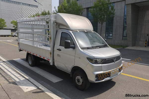 Leichi Leichi LeichiT30 Plus mini truck electric cargo truck