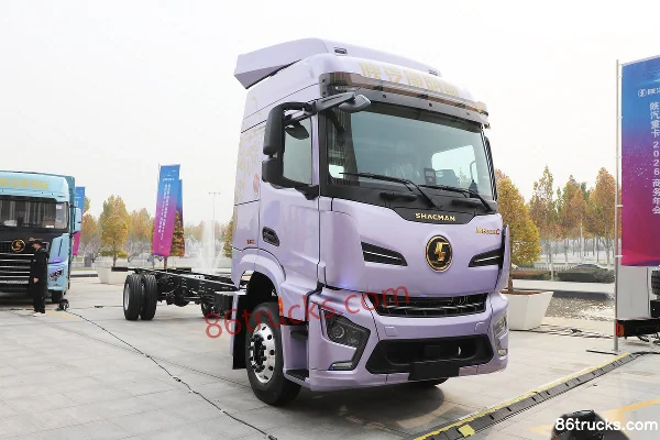 SHACMAN SHACMAN Delong M6000 Cargo Trucks