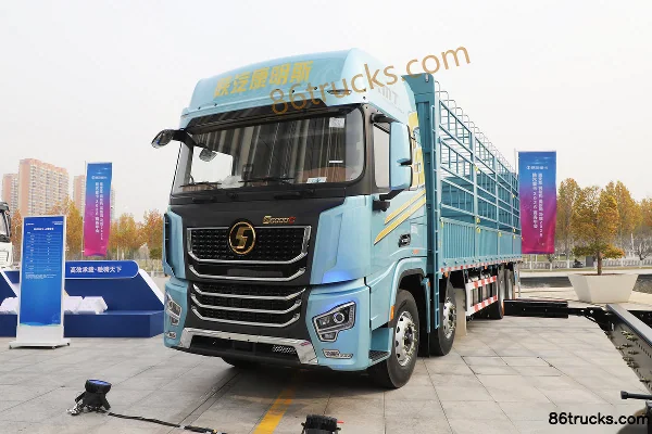 SHACMAN Delong G6000C Elite Edition 12.5L Diesel 600 hp 8X4(12 wheels) Fast Gear 16-Speed AMT Automatic Cargo Truck with Cage Exterior (3)
