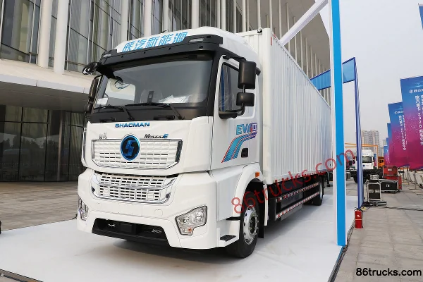 SHACMAN Delong M5000E 4X2(6 wheels) Pure Electric Van Cargo Truck 600kWh Exterior (3) | 86Trucks