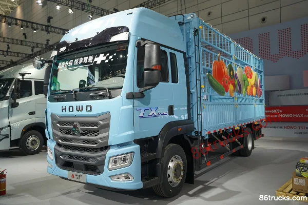 Sinotruk HOWO TX-N 7.4L Diesel 350 hp 4X2(6 wheels) Sinotruk 12-Speed AMT Automatic Cargo Truck with Cage Exterior (3) | 86Trucks