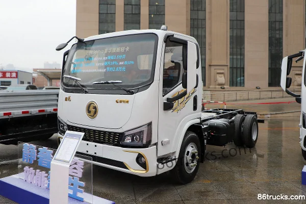 SHACMAN Commercial Vehicle Delong G300 Pro 2.5L Diesel 180hp 4X2(6 wheels) Fast Gear 8-speed 4.2m single-row van light truck Exterior (3)