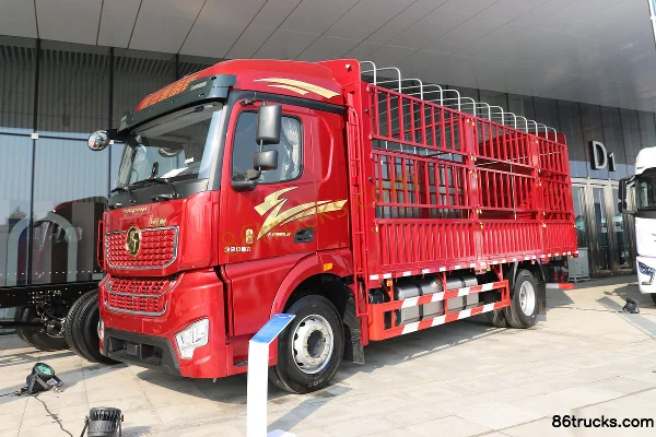 SHACMAN Delong M5000 Elite Edition 6.8L Diesel 300hp 4X2(6 wheels) Fast Gear 10-speed Hook Lift Cargo Truck Exterior (3) | 86Trucks