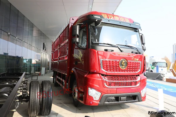 SHACMAN SHACMAN Delong M5000 Cargo Trucks