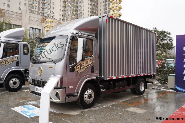 SHACMAN Commercial Vehicle Delong G300 2.5L Diesel 185hp 4X2(6 wheels) Fast Gear 10-speed Air Brake 4.18m Single Row Van Light Truck Exterio