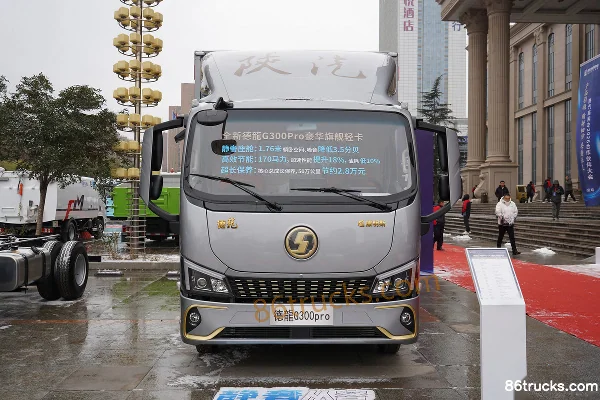 SHACMAN Commercial Vehicle Delong G300 2.5L Diesel 185hp 4X2(6 wheels) Fast Gear 10-speed Air Brake 4.18m Single Row Van Light Truck Exterio