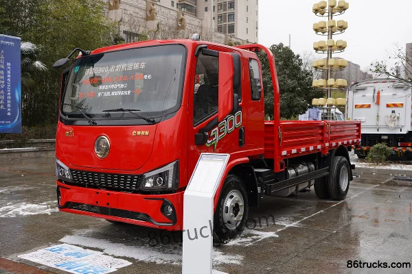 SHACMAN Commercial Vehicle Delong G300 2.5L diesel 180 ch 4X2(6 roues) Fast Gear 8 vitesses frein pneumatique 4,18 m plateau simple cabine c