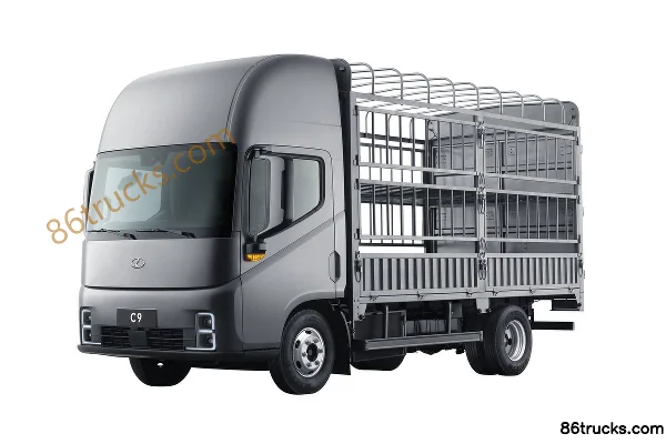 Ruichi C9 Pioneer Edition II High Roof 4.315m Single Row Pure Electric Stake Truck 120kWh CATL 4X2(6 wheels) Exterior