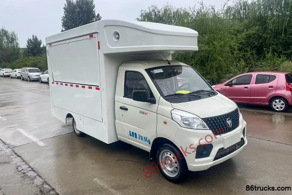 Foton Foton V1 Mini Truck Cargo Trucks