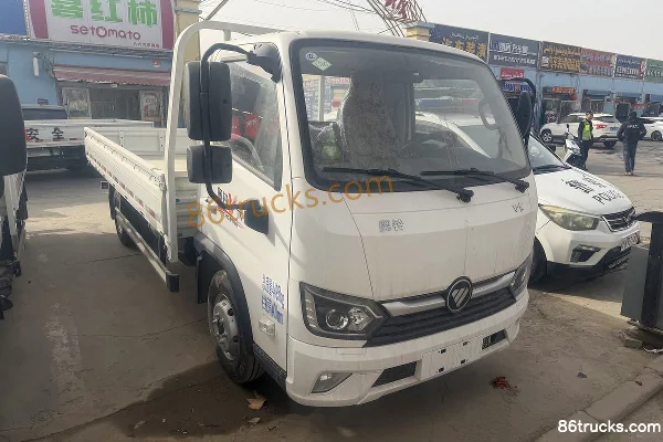 Foton Foton V Card Cargo Trucks