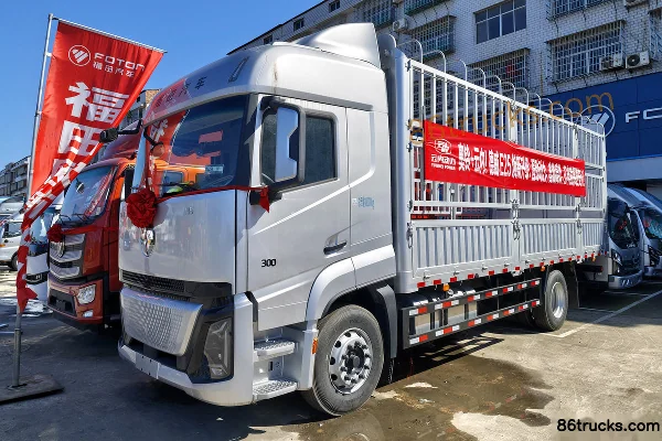 Foton H5 6.4L Diesel 300 hp 4X2(6 wheels) Fast Gear 8-Speed 6.8m Stake Truck Exterior (2) | 86Trucks