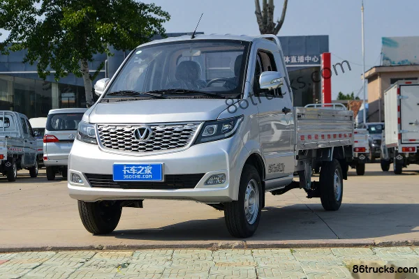 Chenggong Zebra 2024 Comfort Type 1.5L 116hp 4X2(6 wheels) Gasoline 2.55m Double Row Flatbed Light Truck Exterior (3) | 86Trucks